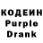 Кодеиновый сироп Lean Purple Drank Gulzira Sailibaeva