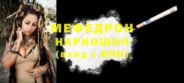 индика Осташков