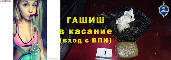 индика Осташков