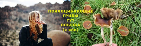марки lsd Пересвет