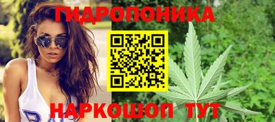 соль ск Краснодар