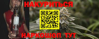 прущие грибы Абинск