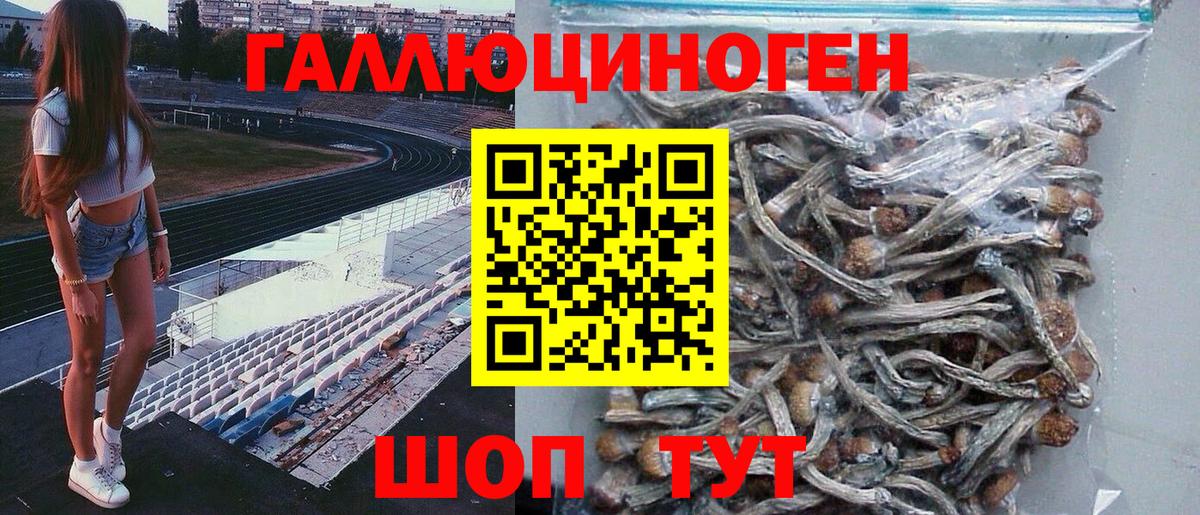 Галлюциногенные грибы Cubensis Шарыпово