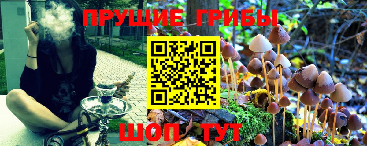 купить   Псилоцибиновые грибы ЛСД  Вход с VPN  Шарыпово 