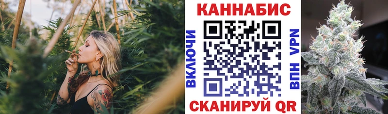 МЕГА маркетплейс  Шарыпово  Каннабис сатива 